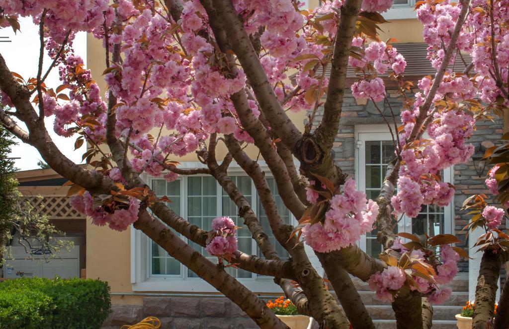 Villa Inn No.21 Seaside Qingdao Exterior foto